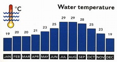 Red Sea Water Temperatures and Wind Speed