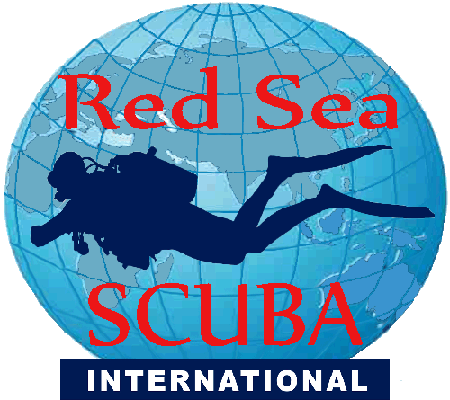 Easy Divers, now Red Sea Scuba, offers a separate boat dedicated exclusively for divers, ensuring that certified divers will visit only the very best dive sites, while snorkeling and DSD's are conducted on a different boat at suitable locations! See our new company website WITHOUT FLASH MENUS!