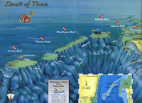Diving Sites at Tiran Island in the entrance to the Gulf of Aqaba