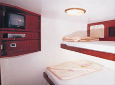 Double Cabin on M/Y Juliet Liveaboad Diving Motor Yacht in Sharm el Sheikh Egypt