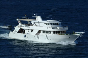 M/Y Sir Cousteau Liveaboard Diving Motor Yacht in the South Red Sea Egypt